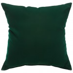 Canvas Forest Green Sunbrella Indoor/Outdoor Porch Pillow 18 in. x 18 in.