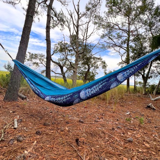 Travel Hammock - Jelly Fish