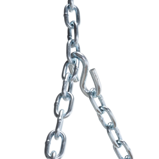 Bent Oak Double DURACORD® Rope Swing - White